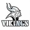 Vikings 